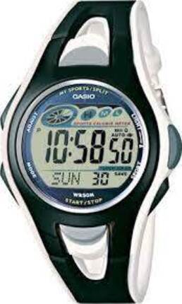 Часы CASIO STR-500-1VER