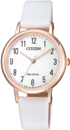 Часы CITIZEN Eco-Drive EM0579-14A