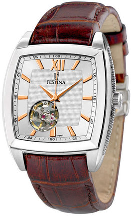 Часы Festina Automatic F6753/4