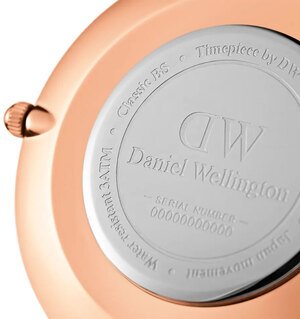 Часы Daniel Wellington Petite Ashfield DW00100307