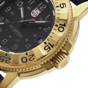 Часы Luminox Navy SEAL Foundation XS.3221.NSF