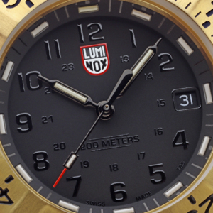 Часы Luminox Navy SEAL Foundation XS.3221.NSF