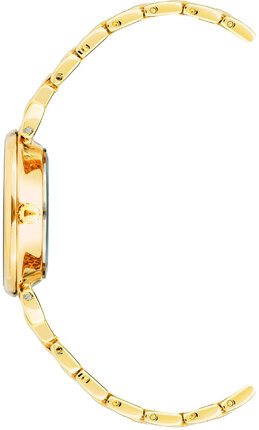 Годинник Anne Klein AK/2158LVGB