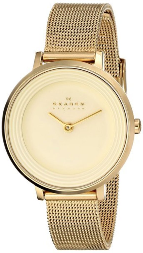 

Часы SKAGEN SKW2212, SKW2212