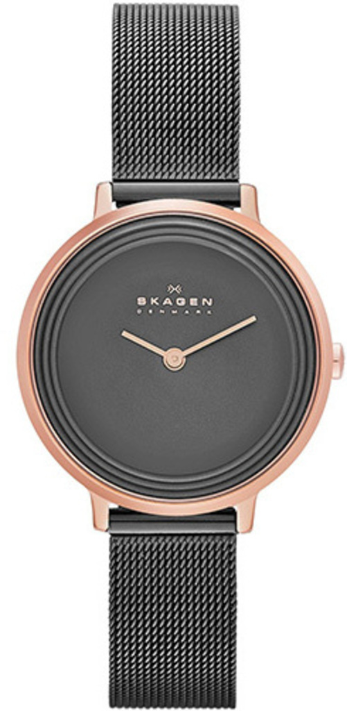 

Часы SKAGEN SKW2277, SKW2277