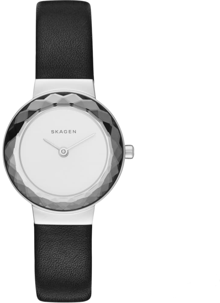 

Часы SKAGEN SKW2428, SKW2428
