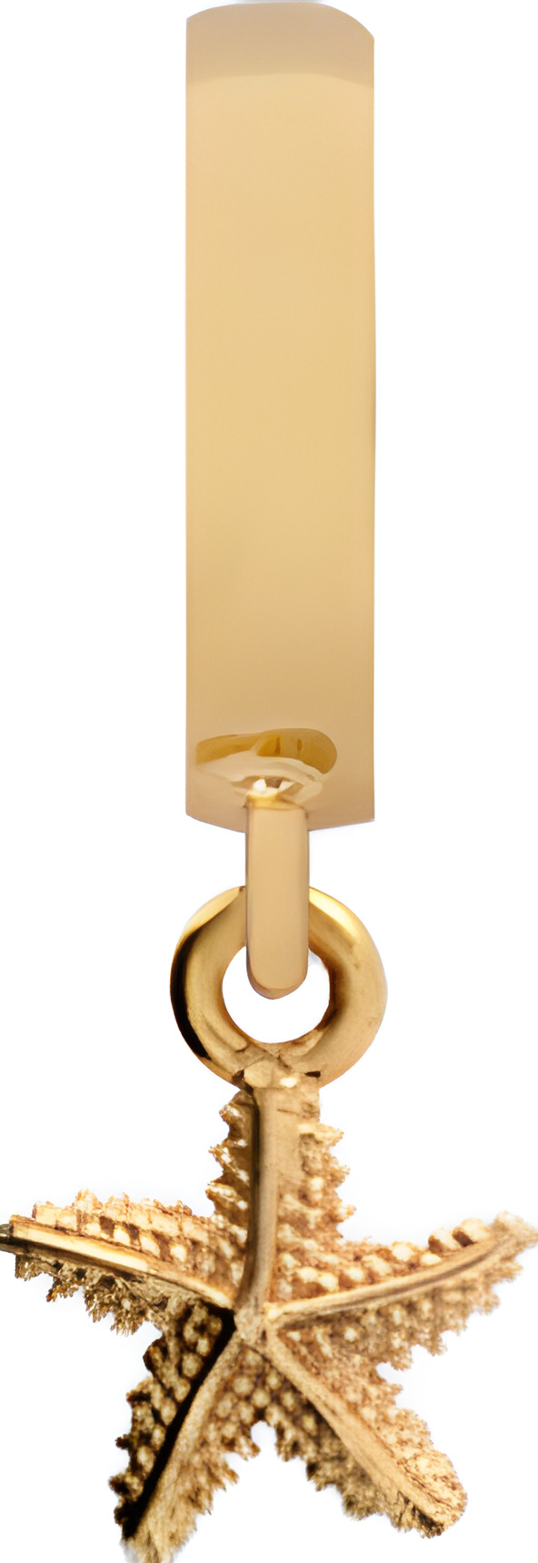 

Шарм CC hangers - Starfish 610-G28, Starfish 610-G28